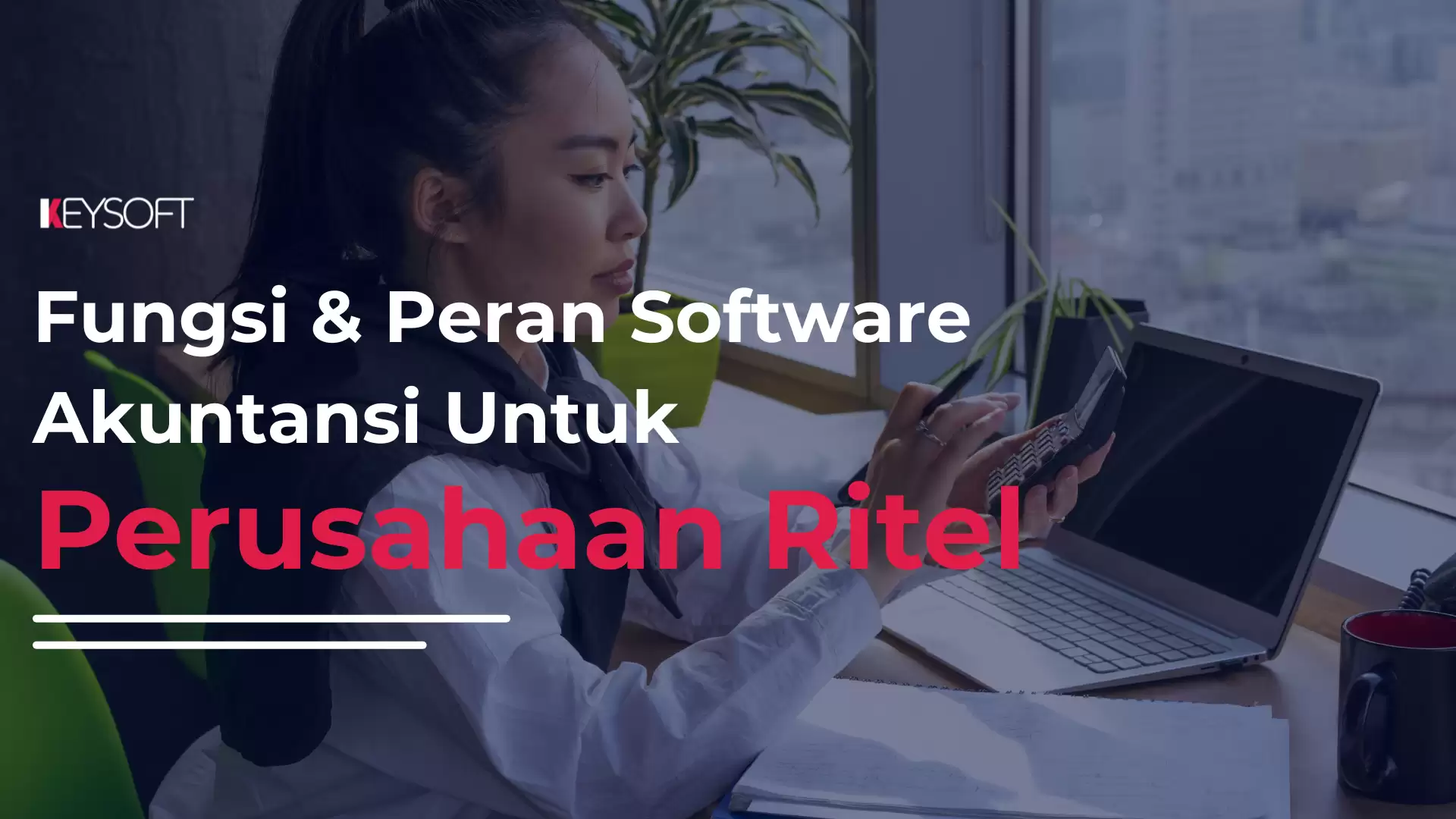Fungsi dan Peran Sofware Akuntansi untuk Perusahaan Ritel