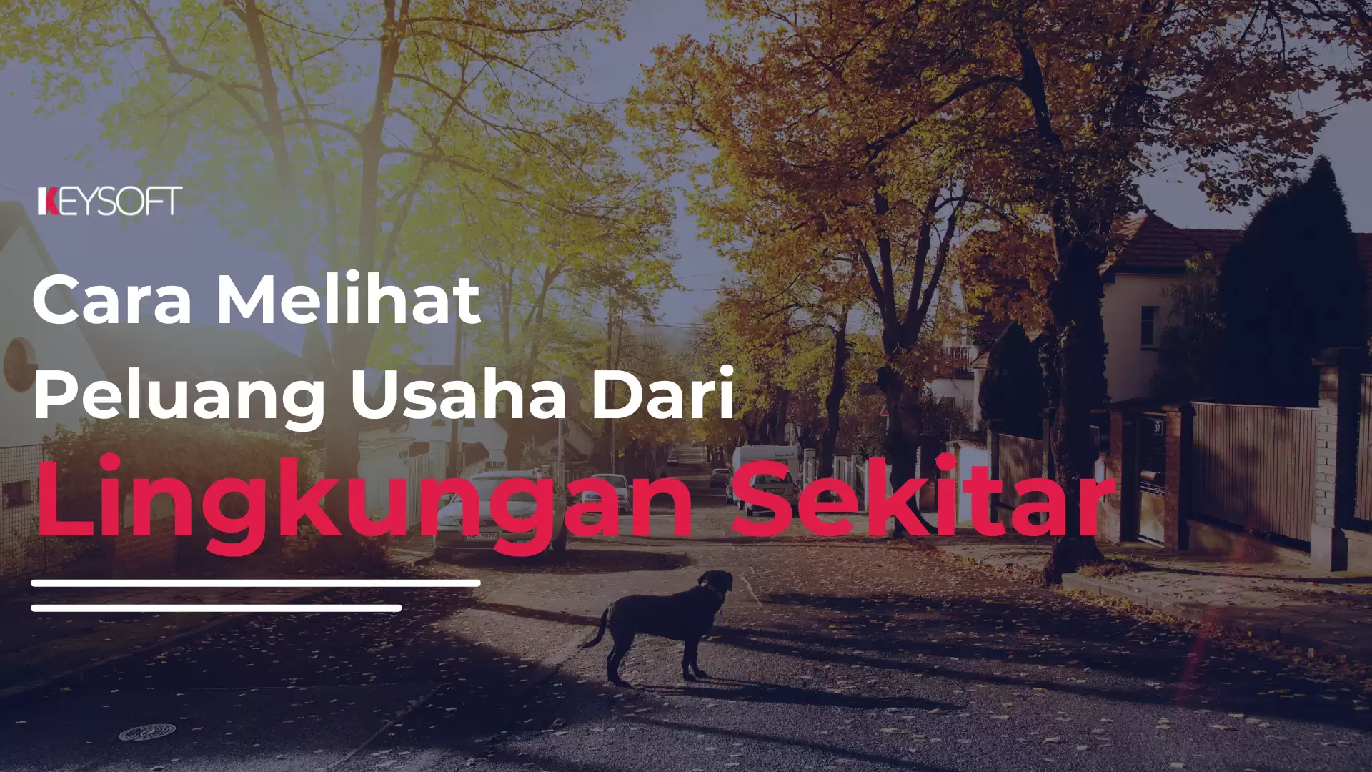 Cara Melihat Peluang Usaha dari Linkungan Sekitar