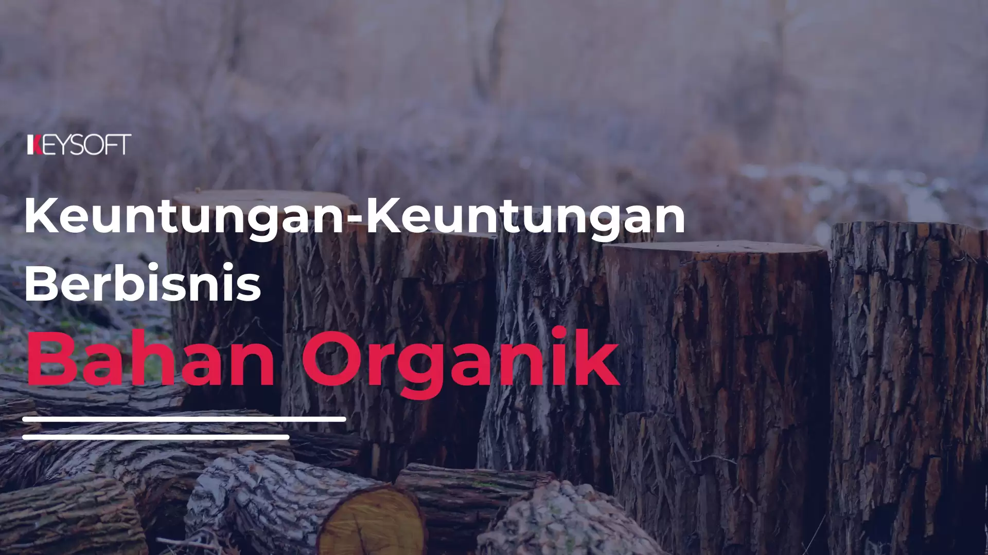 Keuntungan -  keuntungan Berbisnis Bahan Organik