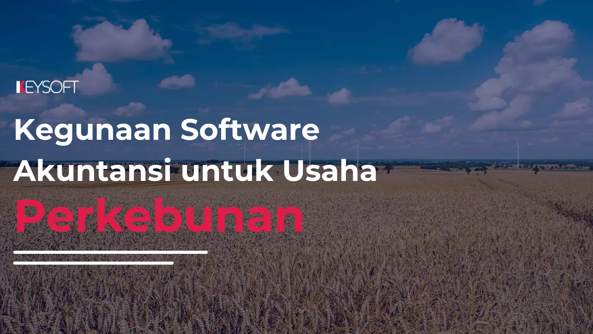 Kegunaan Software Akuntansi untuk Usaha Perkebunan