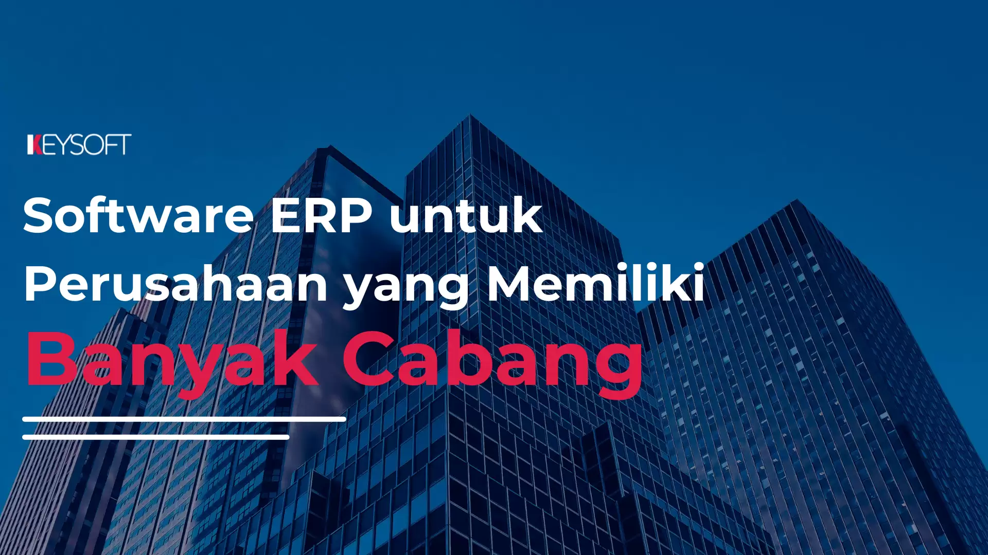 Software ERP untuk Perusahaan yang Memiliki Banyak Cabang