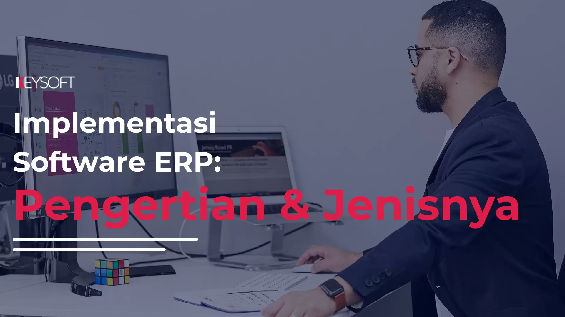 Implementasi ERP : Pengertian dan Jenisnya