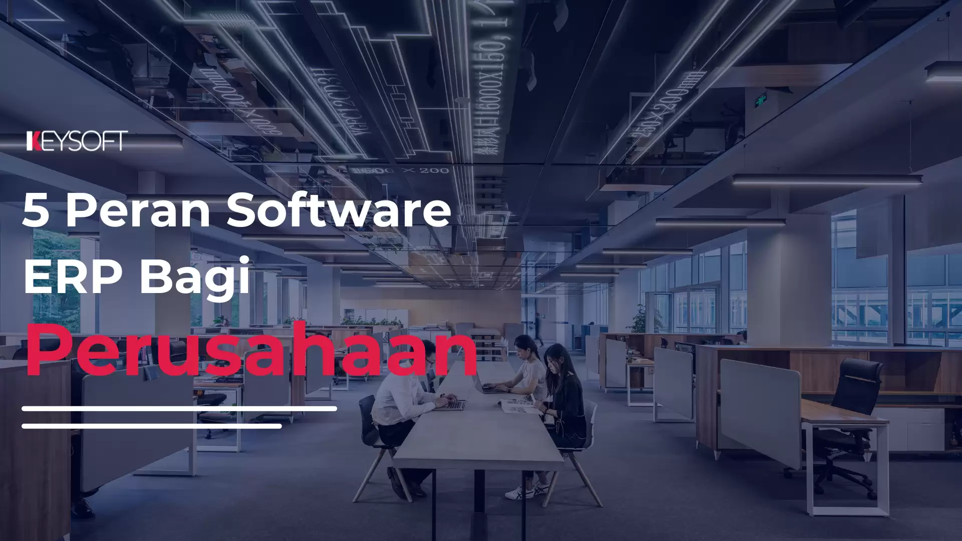 5 Peran Software ERP Bagi Perusahaan