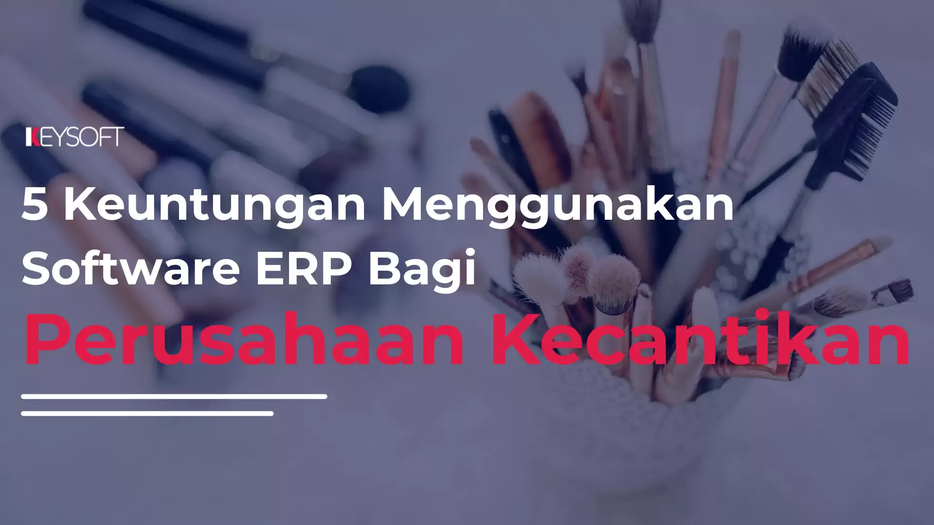 5 Keuntungan Menggunakan Software ERP Bagi Perusahaan Kecantikan
