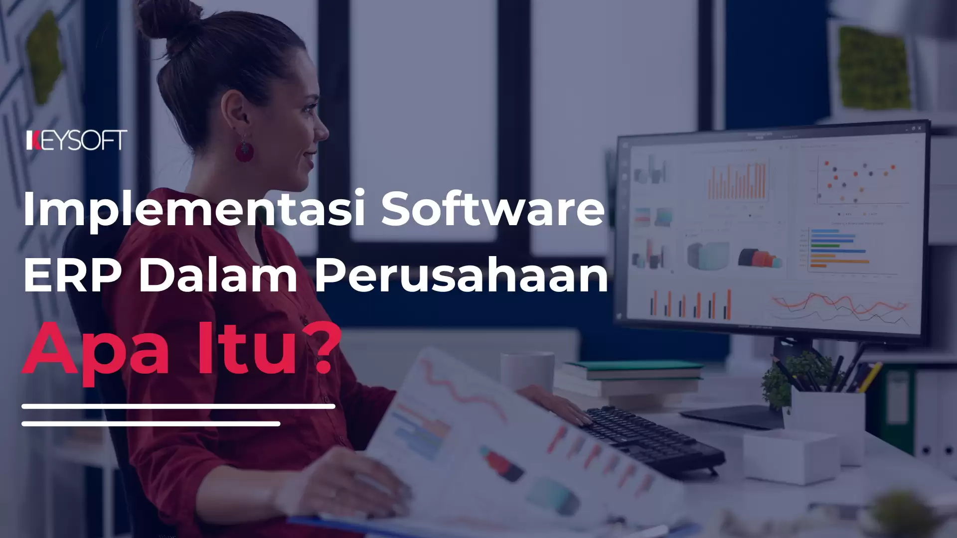 Implementasi Software ERP Dalam Perusahaan, Apa Itu?