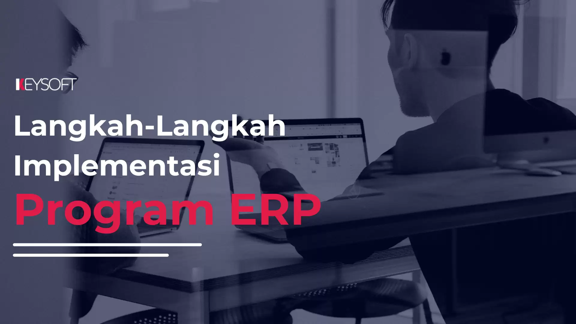Langkah – Langkah Implementasi Program ERP