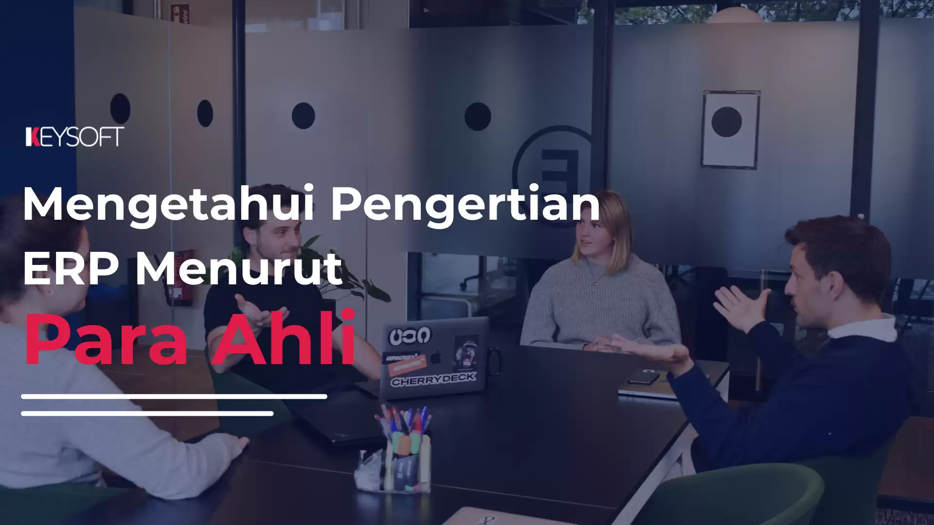 Mengetahui Pengertian ERP Menurut Para Ahli