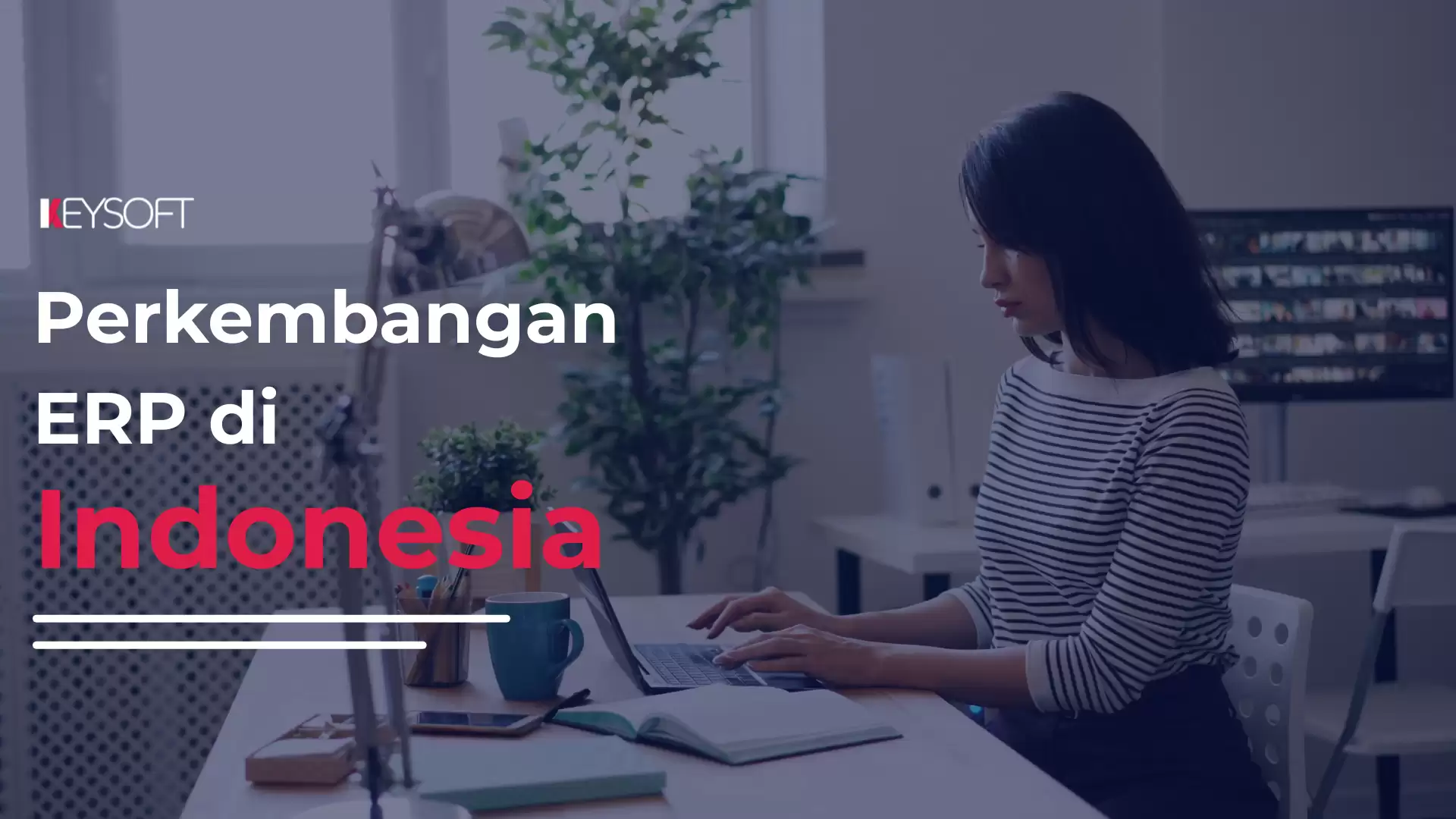 Perkembangan ERP di Indonesia