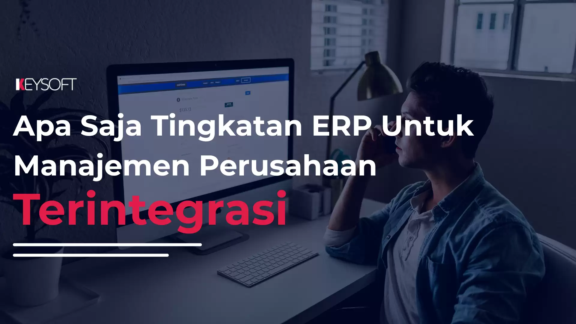 Apa Saja Tingkatan ERP untuk Manajemen Perusahaan Terintegrasi?