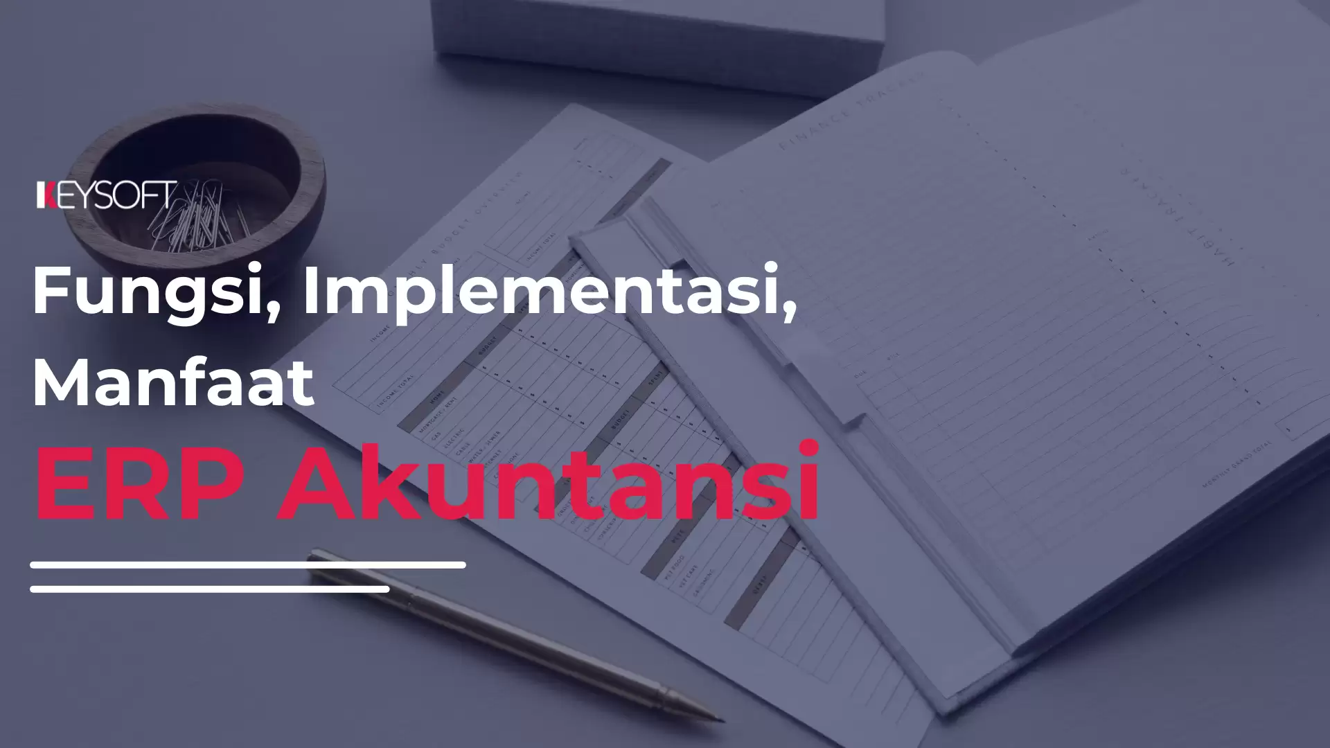 ERP Akuntansi: Fungsi, Implementasi dan Manfaatnya