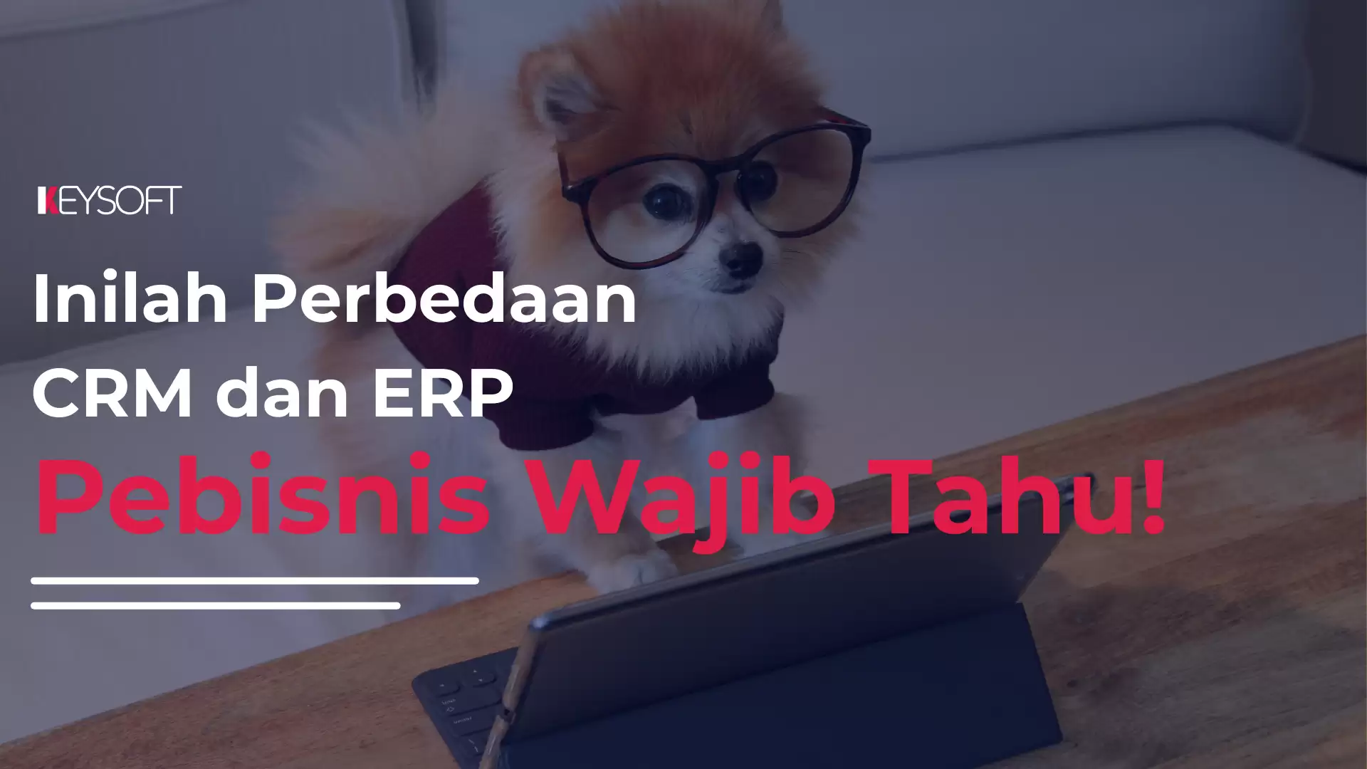 Inilah Perbedaan CRM dan ERP, Pebisnis Wajib Tahu!