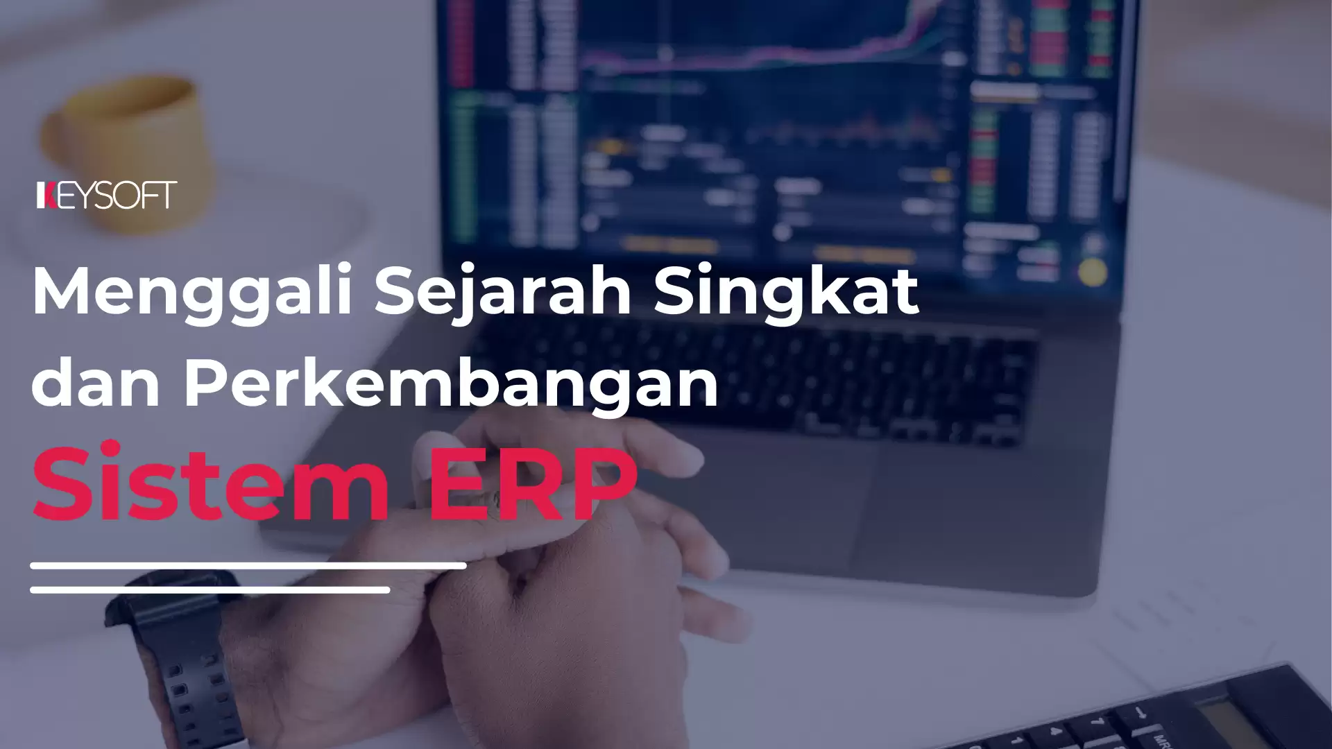 Menggali Sejarah Singkat dan Perkembangan Sistem ERP