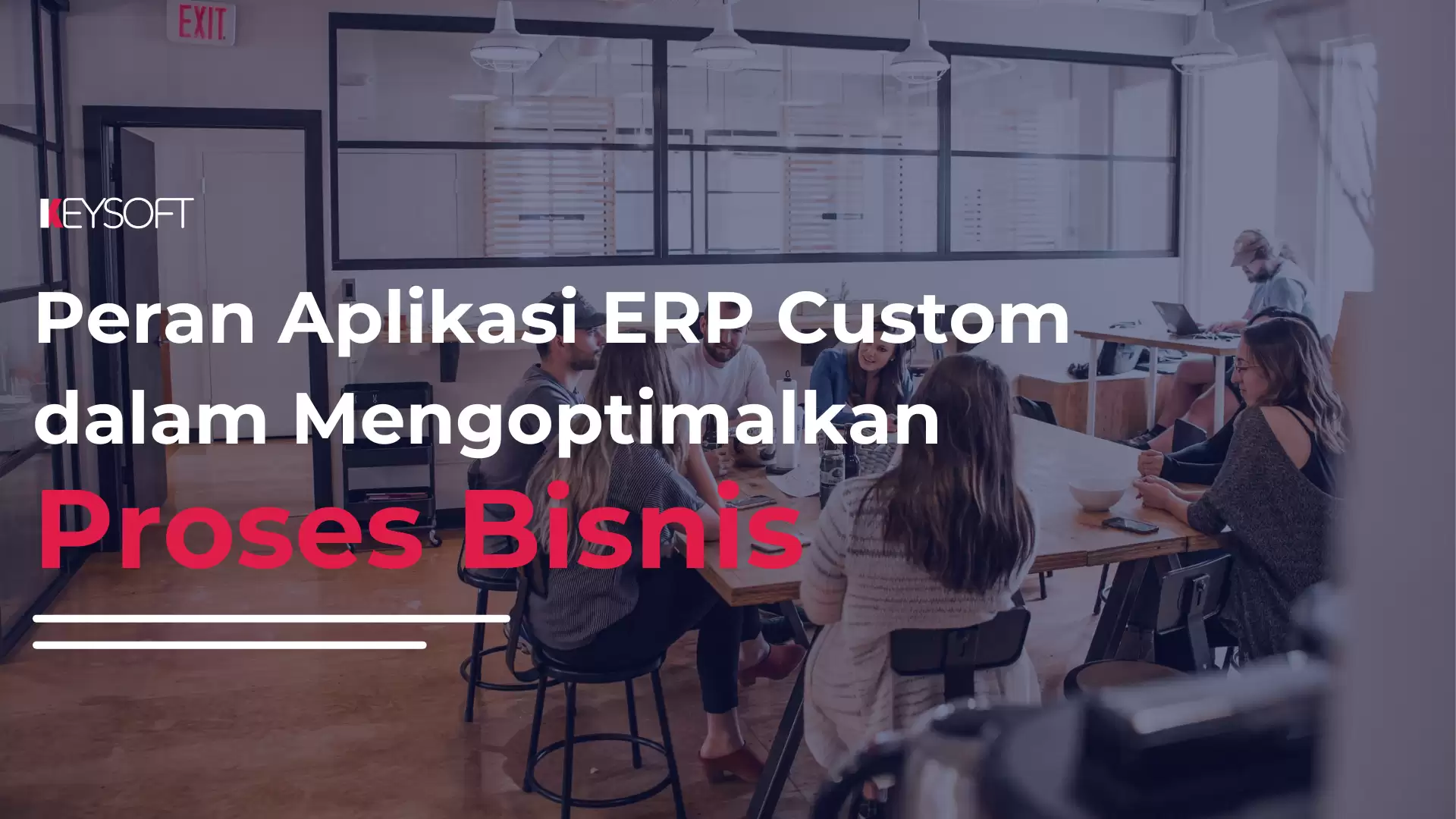 Peran Aplikasi ERP Custom dalam Mengoptimalkan Proses Bisnis