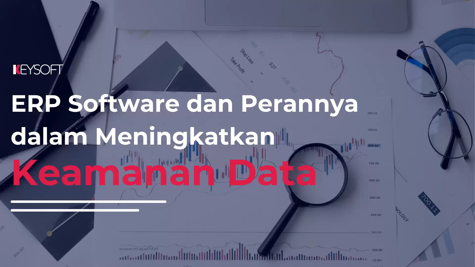 ERP Software dan Perannya dalam Meningkatkan Keamanan Data