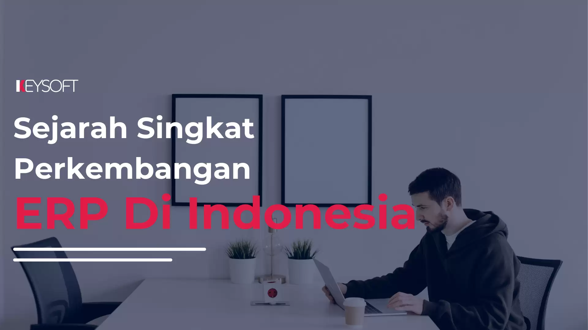 Sejarah Singkat Perkembangan ERP di Indonesia