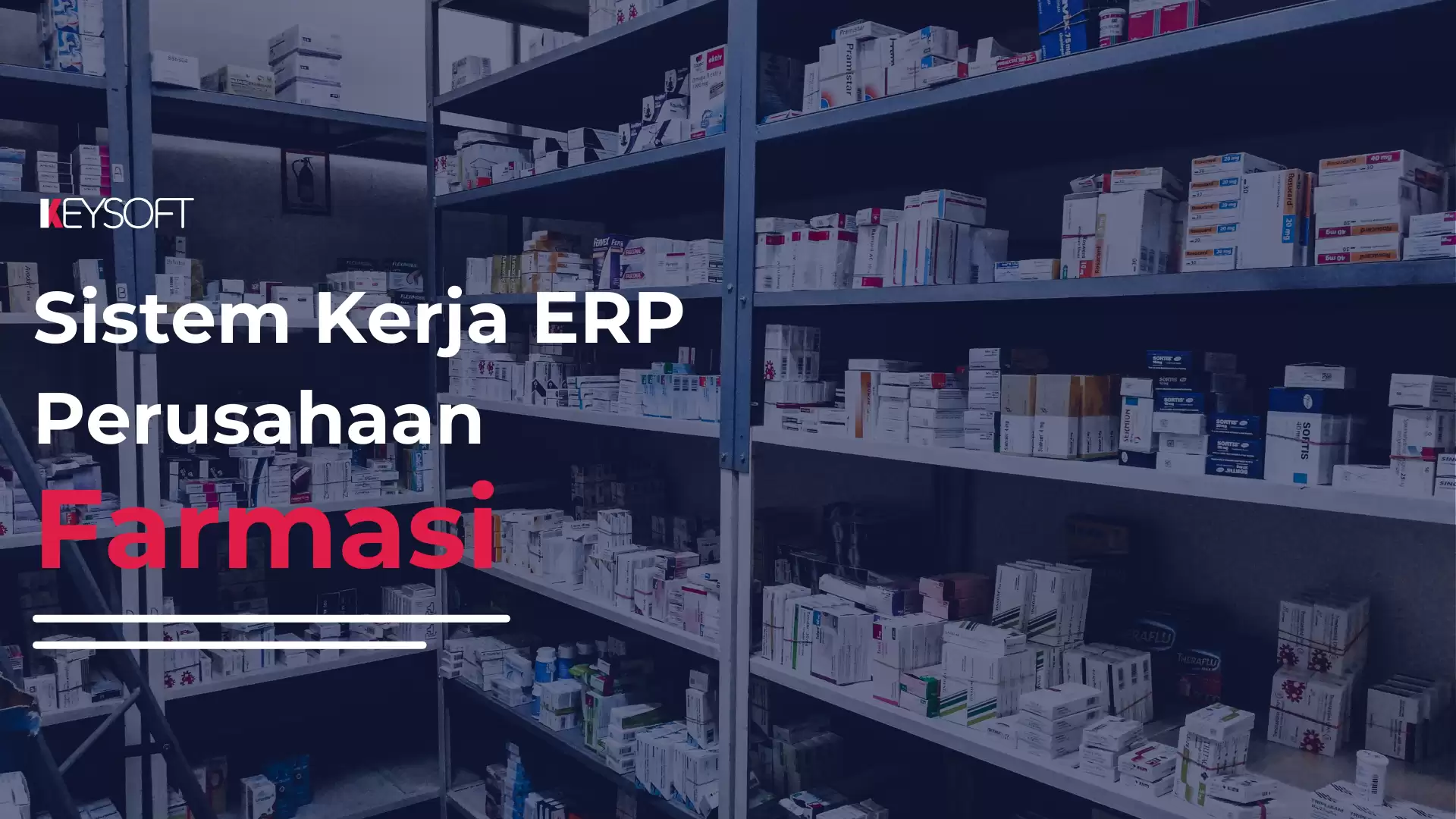 Sistem Kerja ERP Perusahaan Farmasi