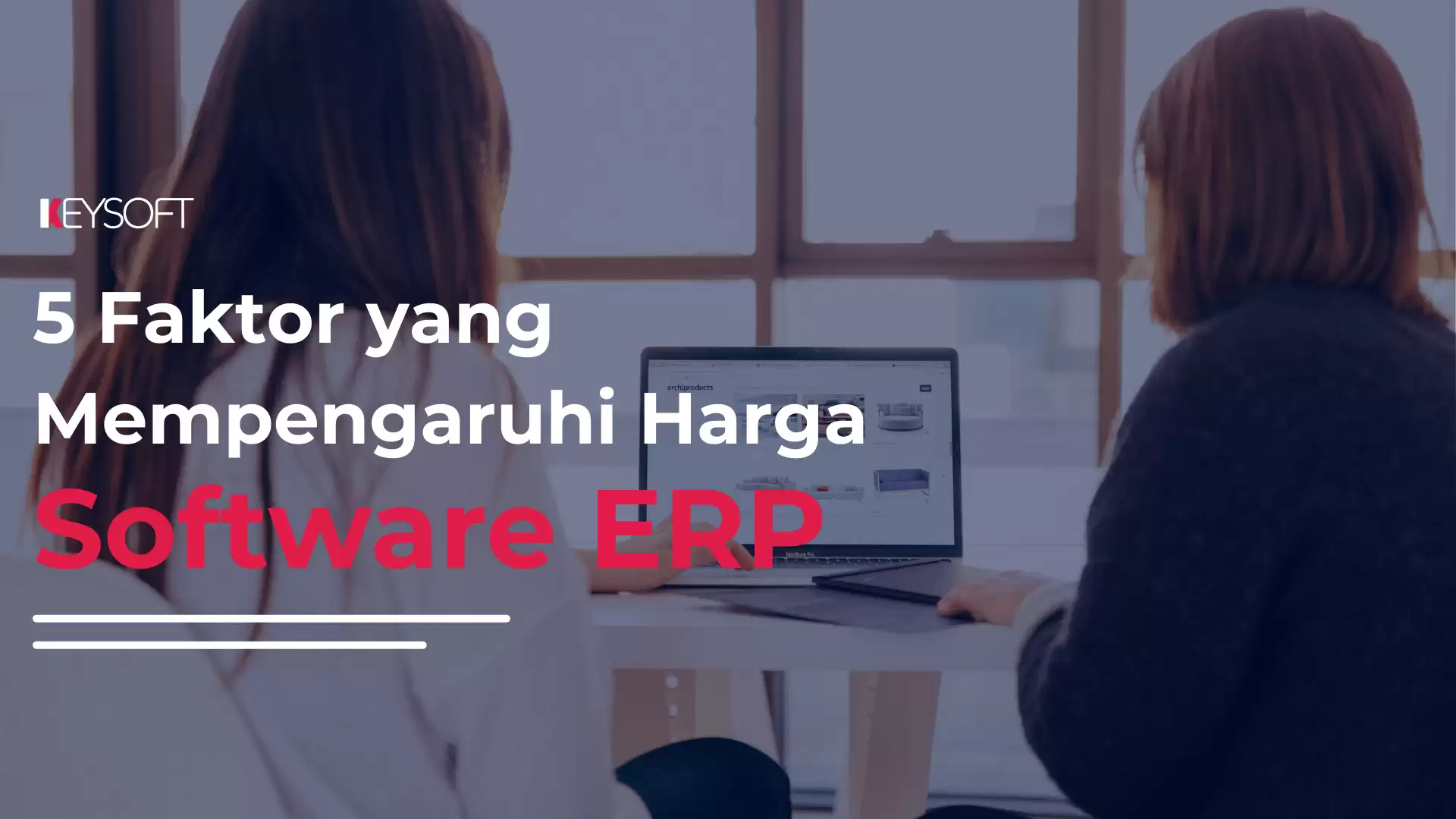 5 Faktor yang Mempengaruhi Harga Software ERP