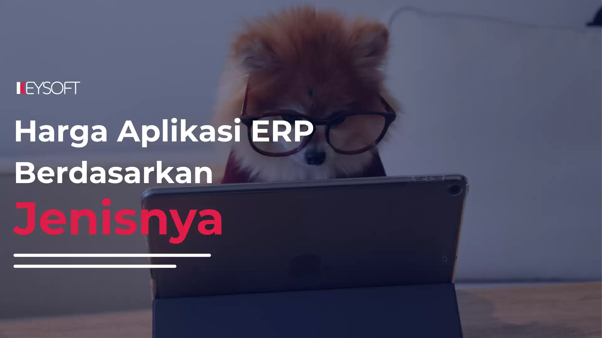 Harga Aplikasi ERP Berdasarkan Jenisnya - Keysoft
