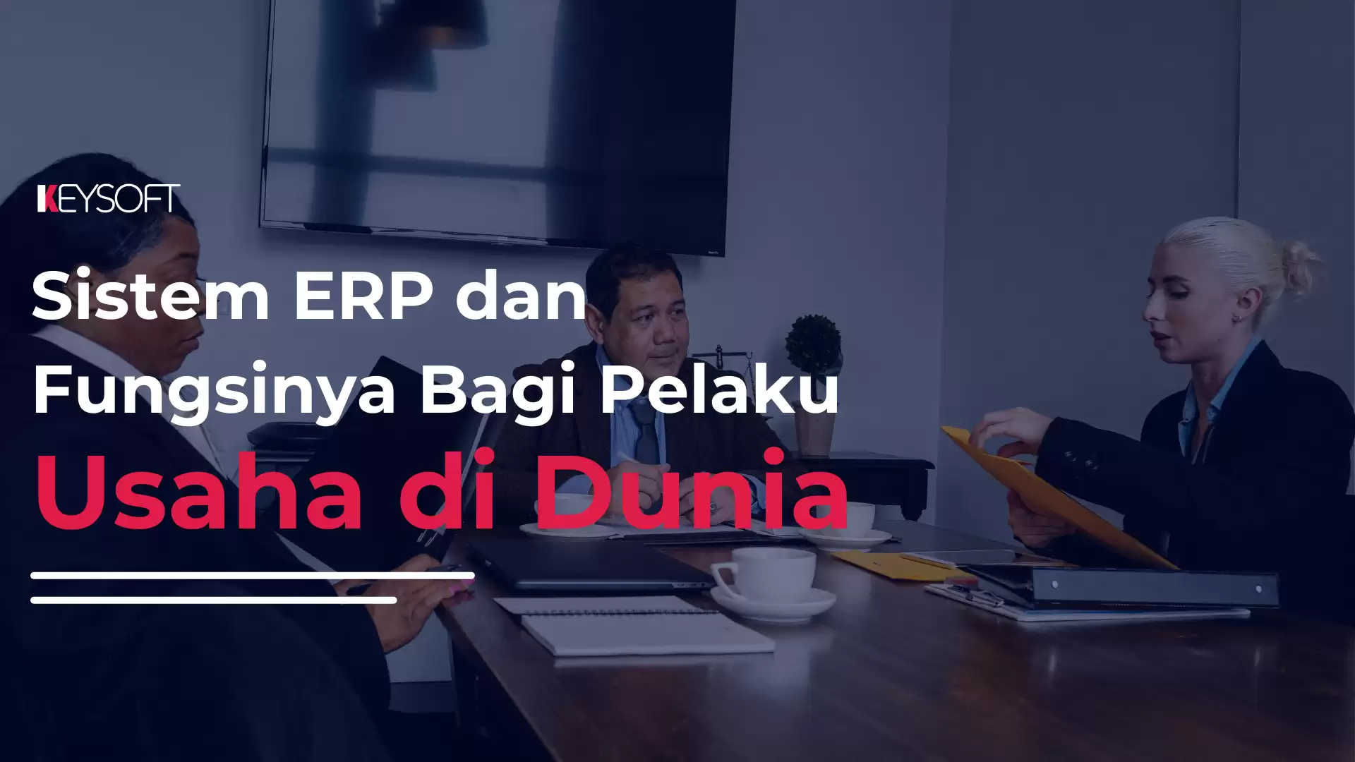 Sistem ERP dan Fungsinya Bagi Pelaku Usaha di Dunia