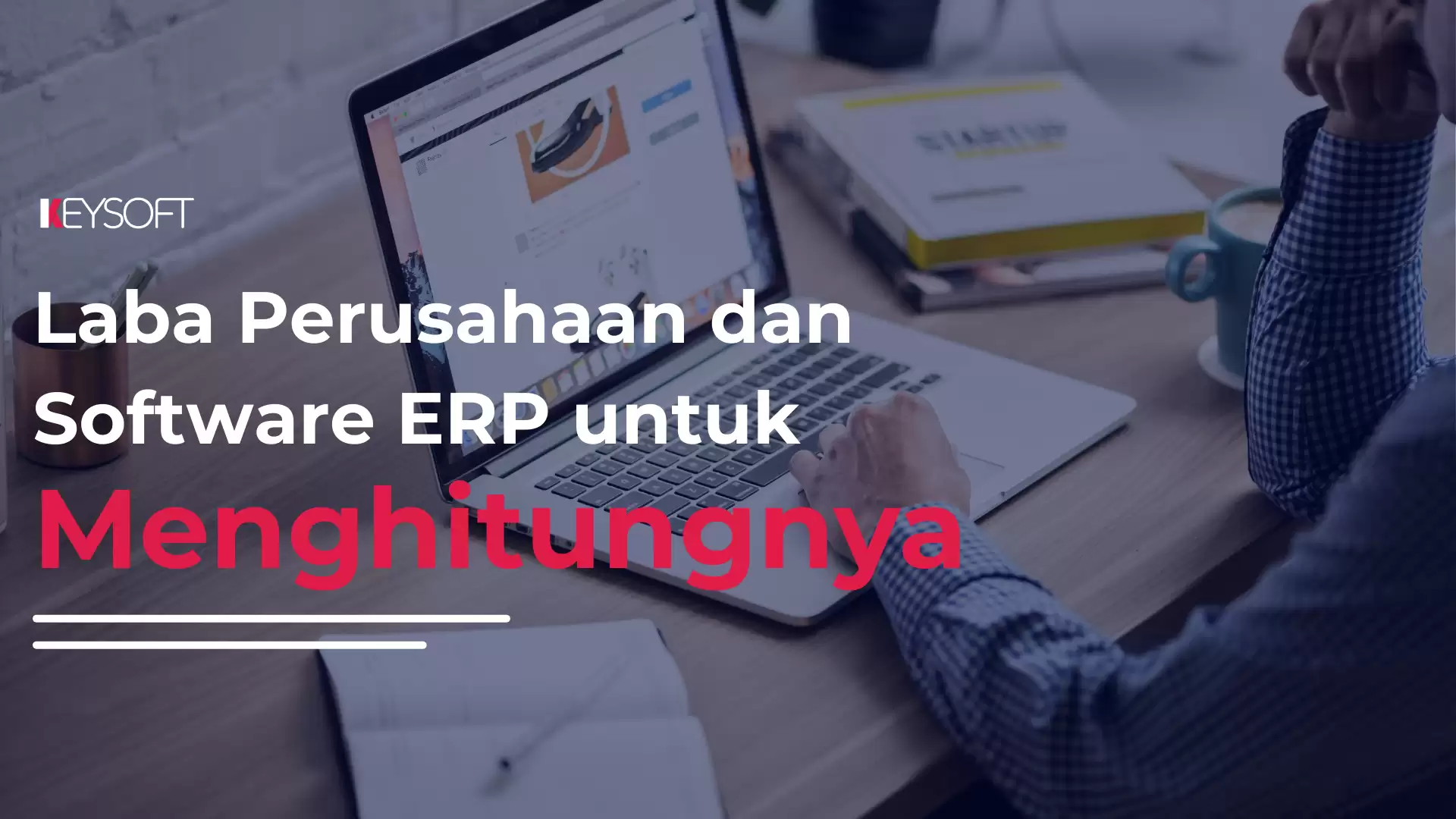Laba Perusahaan dan Software ERP untuk Menghitungnya