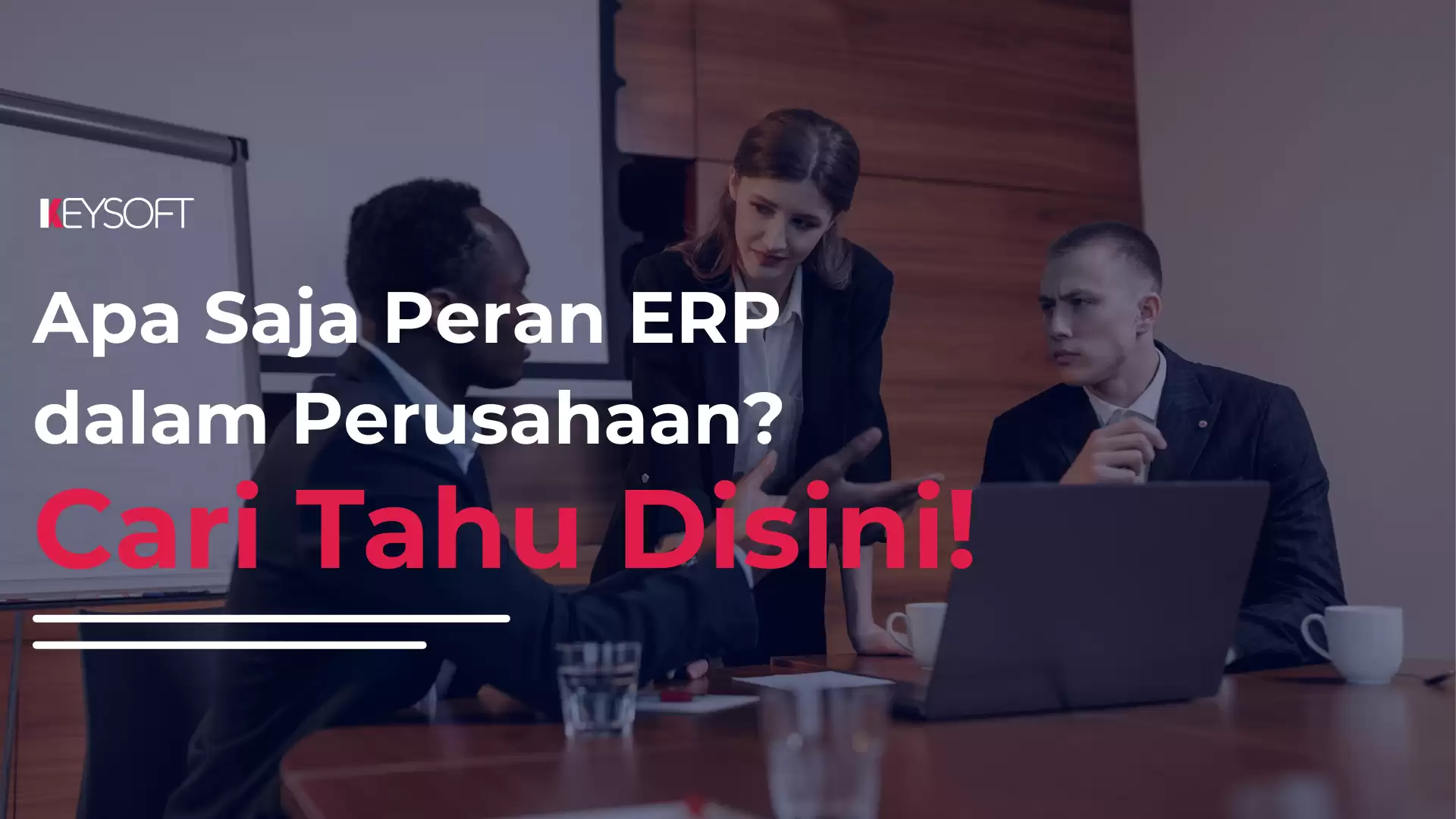 Apa Saja Peran ERP dalam Perusahaan? Cari Tahu Disini!