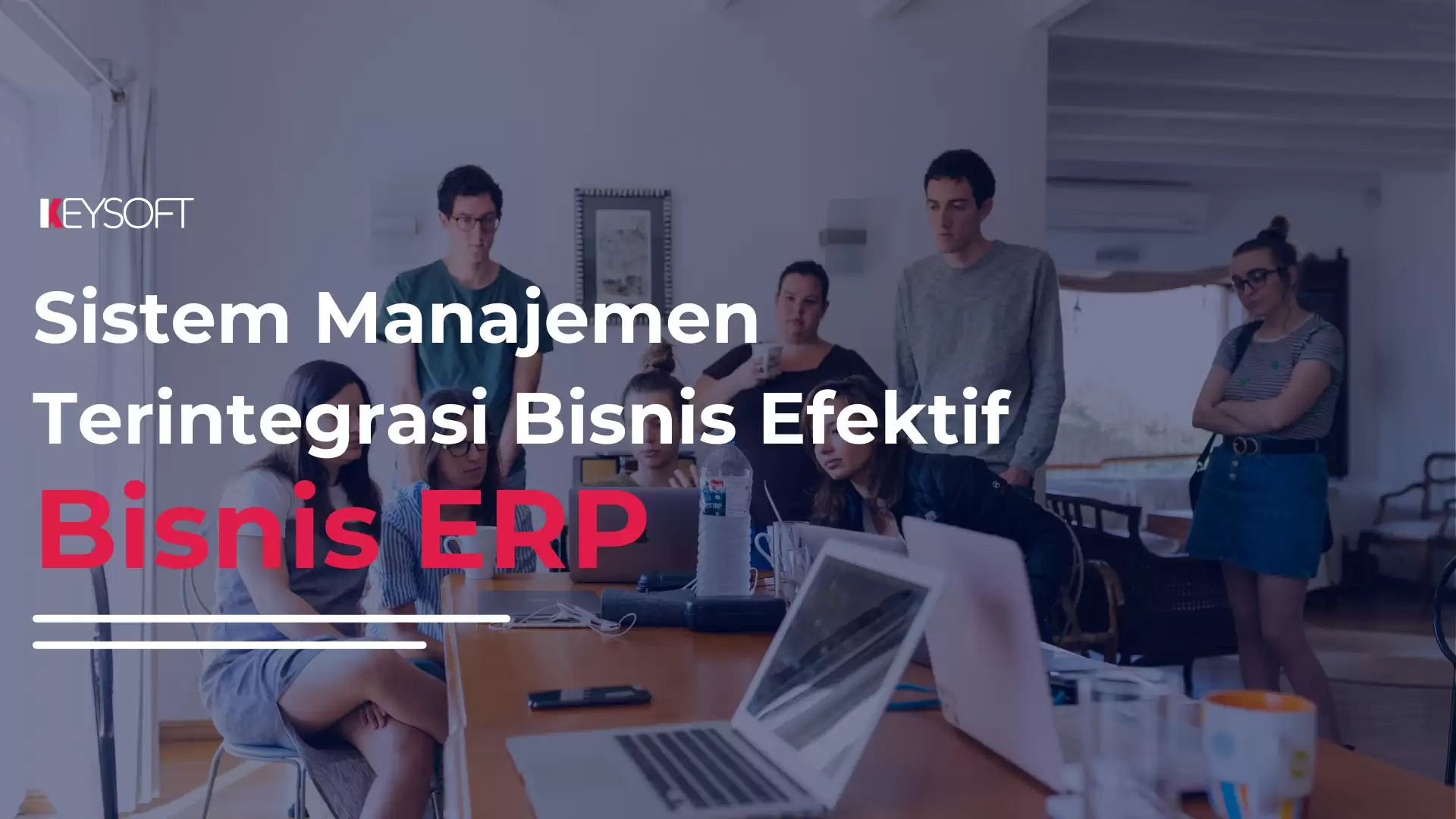 Bisnis ERP : Sistem Manajemen Terintegrasi Bisnis Efektif