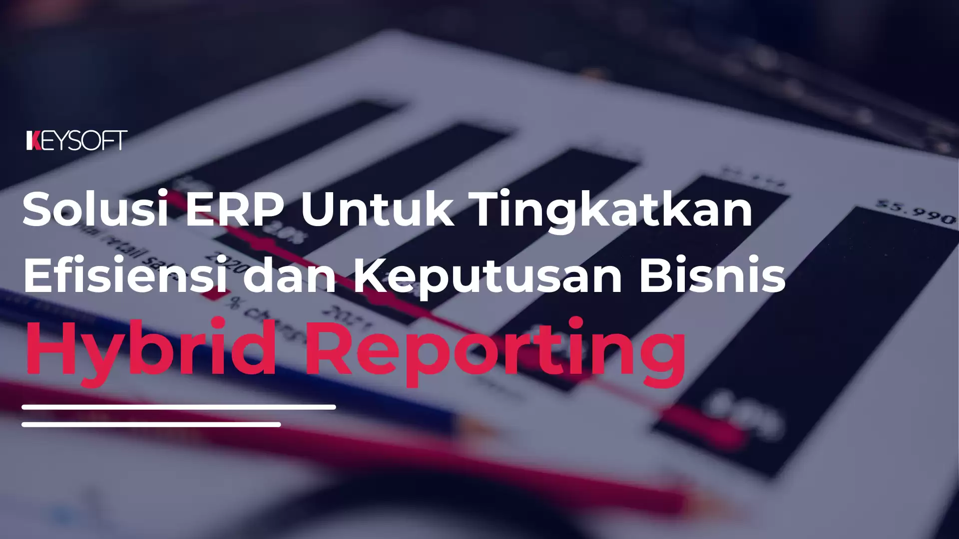 Hybrid Reporting : Solusi ERP Untuk Tingkatkan Efisiensi dan Keputusan Bisnis