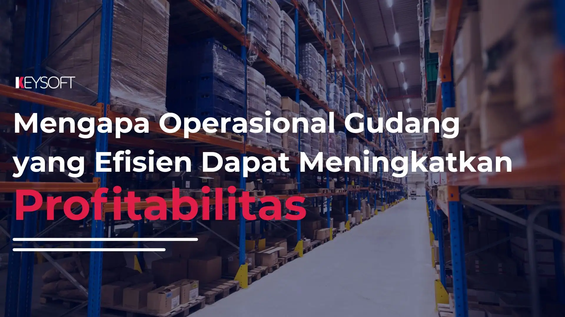 Mengapa Operasional Gudang yang Efisien Dapat Meningkatkan Profitabilitas?