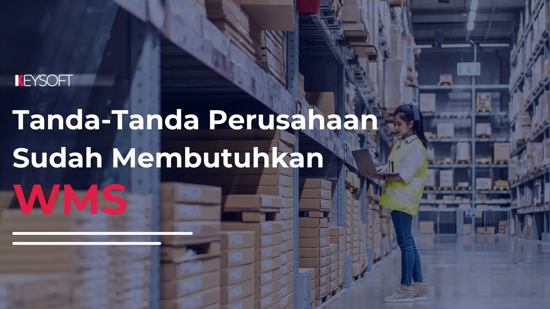Tanda-Tanda Perusahaan Sudah Membutuhkan WMS