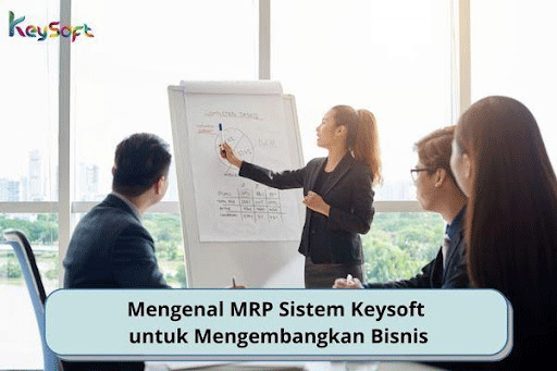 Apa Saja Tingkatan ERP untuk Manajemen Perusahaan Terintegrasi?