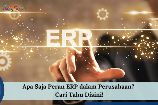 Apa Saja Peran ERP dalam Perusahaan? Cari Tahu Disini!