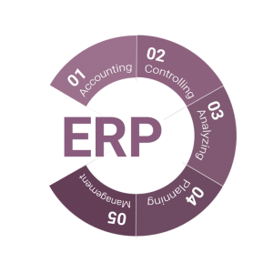 erp-min-3 erp-min-3